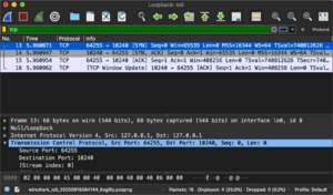 Wireshark-lo-1.png