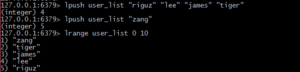 Redis List.png