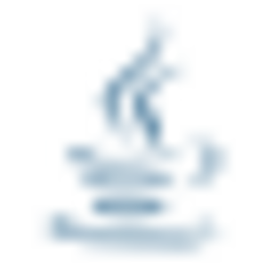 File type java.svg